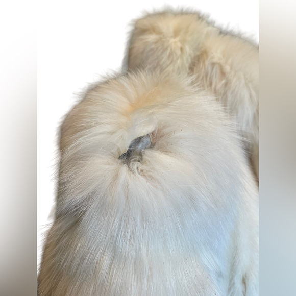 SOLD - Picture 7 of 13